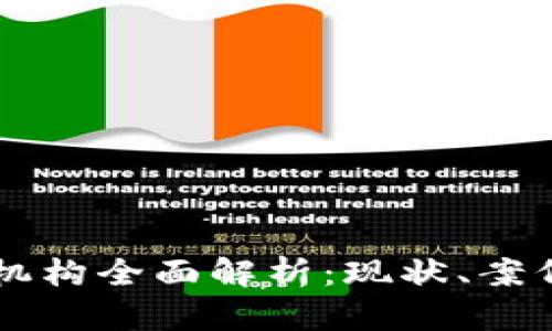 区块链实体机构全面解析：现状、案例与未来展望