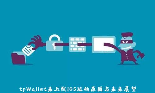 
tpWallet未上线iOS版的原因与未来展望