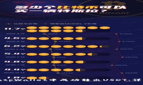 如何在tpWallet中成功转出USDT：详细指南