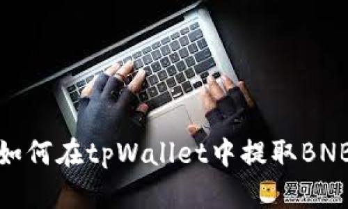如何在tpWallet中提取BNB